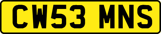 CW53MNS