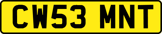 CW53MNT