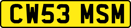 CW53MSM