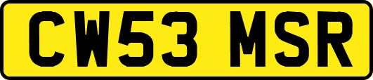 CW53MSR