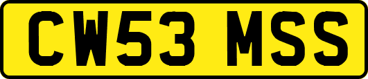CW53MSS