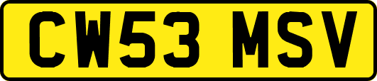 CW53MSV