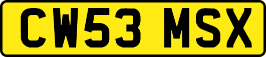 CW53MSX