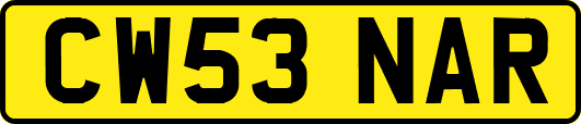 CW53NAR