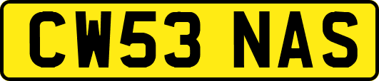 CW53NAS