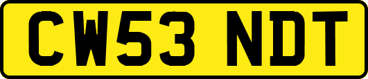 CW53NDT