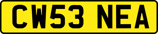 CW53NEA