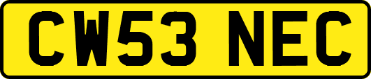 CW53NEC