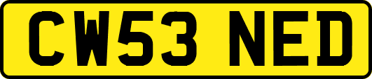 CW53NED