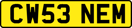 CW53NEM