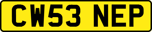 CW53NEP