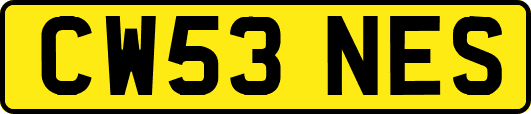 CW53NES