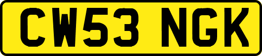 CW53NGK