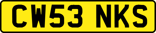 CW53NKS