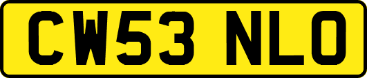 CW53NLO