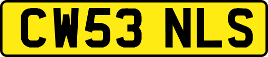 CW53NLS