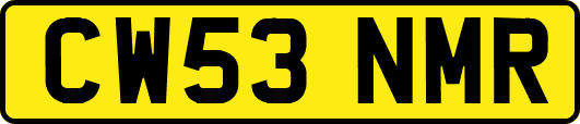 CW53NMR