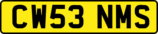 CW53NMS