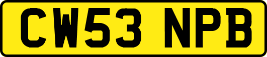 CW53NPB