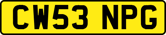 CW53NPG