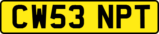 CW53NPT