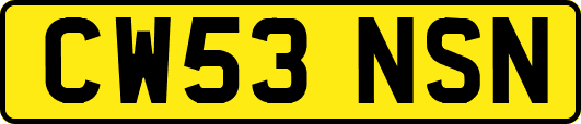 CW53NSN
