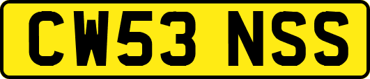 CW53NSS