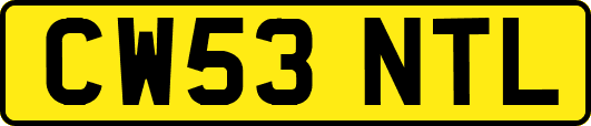 CW53NTL