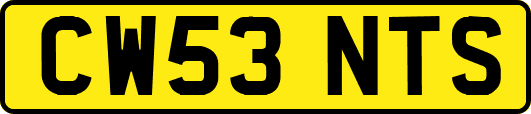 CW53NTS