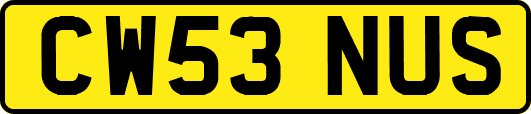 CW53NUS