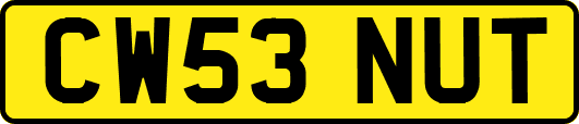 CW53NUT