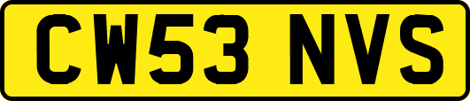 CW53NVS