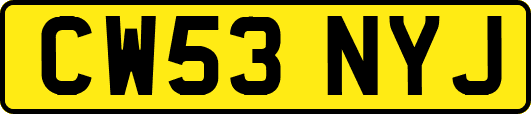 CW53NYJ