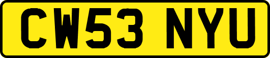 CW53NYU