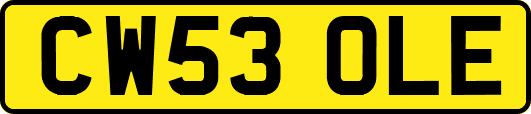 CW53OLE