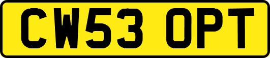 CW53OPT
