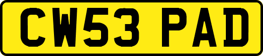 CW53PAD