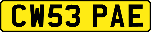 CW53PAE
