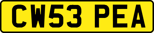 CW53PEA