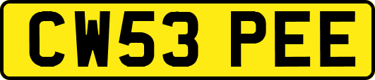 CW53PEE