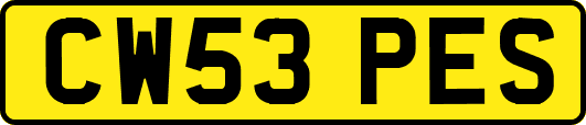 CW53PES