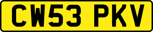 CW53PKV