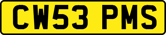 CW53PMS
