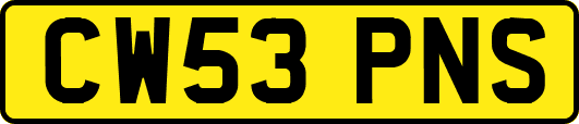 CW53PNS
