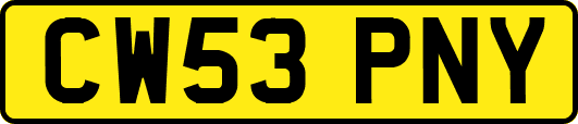 CW53PNY