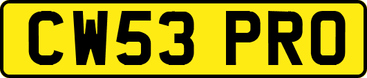 CW53PRO