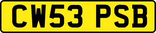 CW53PSB