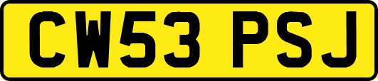 CW53PSJ