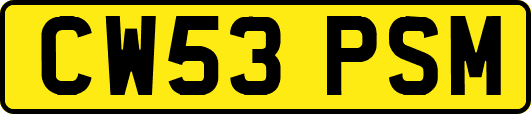 CW53PSM