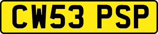 CW53PSP
